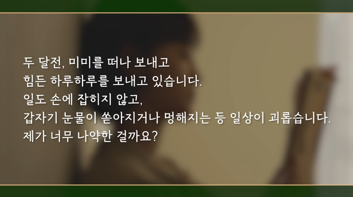 [소확성] 어서 오세요, 펫로스 상담실입니다